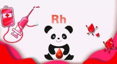 RH阴性血型会遗传吗？原理是什么？