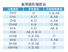 儿子的血型是遗传谁的?遗传方法是什么?